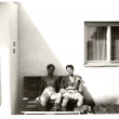 veget 1990